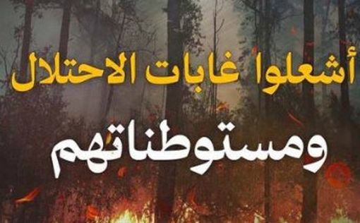 Являются ли лесные пожары в Израиле результатом поджога?