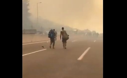 Видео: пассажиры бегут из автобуса, загоревшегося из-за пожара