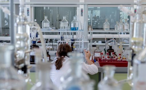Израильские ученые нашли способ "переключить" иммунитет на борьбу с раком