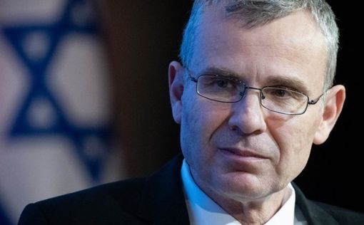 Левин: Вопросом реформы я сейчас не занимаюсь