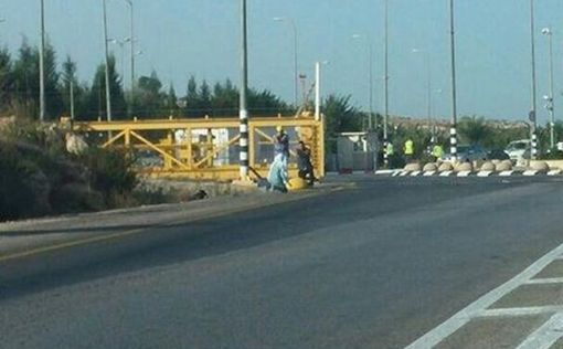 4 палестинца, освобожденные ранее, вновь арестованы в Калькилии