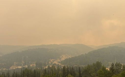 Два пожара в центральном Израиле: один потушен, второй продолжается