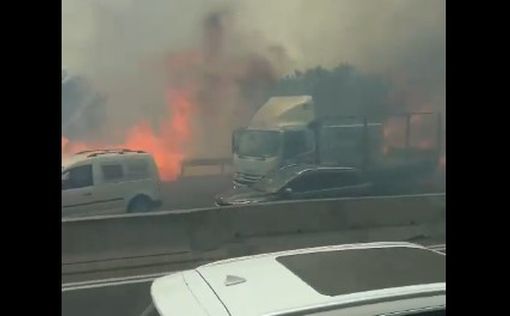 Полиция помогает пожарным, поскольку пожары распространяются на юг Израиля