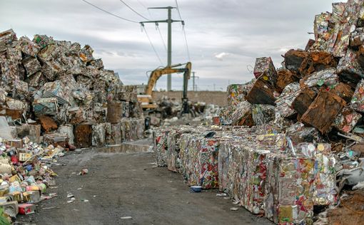 В Нидерландах потеряли 46 произведений искусства — их случайно выбросили
