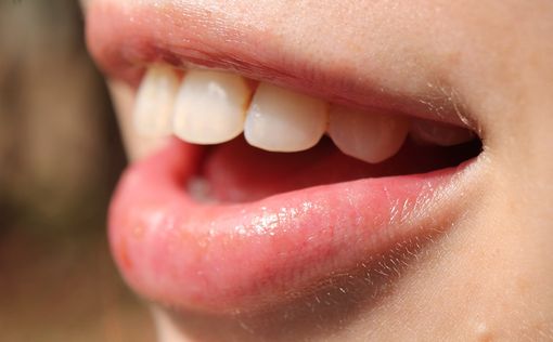 Ученые впервые вырастили человеческие зубы в лаборатории