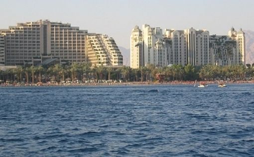 В Эйлатском заливе заметили редчайшую рыбу